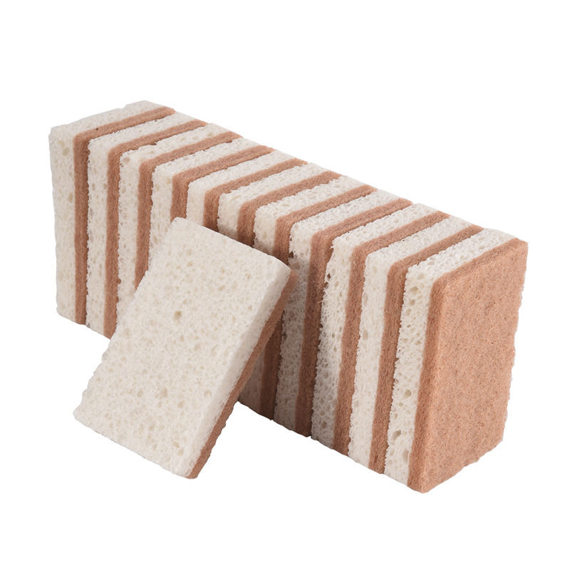 環境に優しい天然スポンジ食器用スポンジ12個パック - 生分 - Eco Sponge のレビューと価格