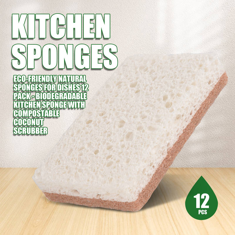 環境に優しい天然スポンジ食器用スポンジ12個パック - 生分 - Eco Sponge のレビューと価格